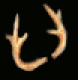 Deer Antlers.png